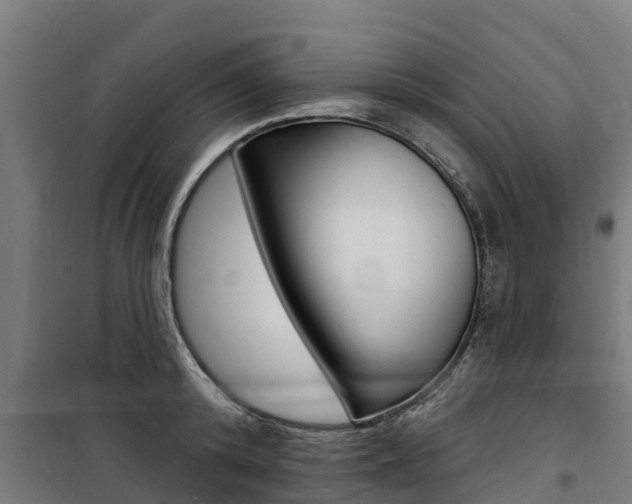 X0000100750800200806190821