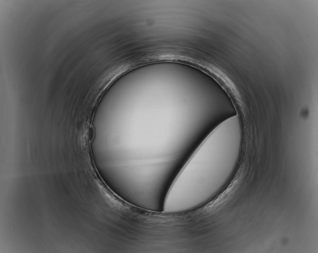 X0000100750801200806190821