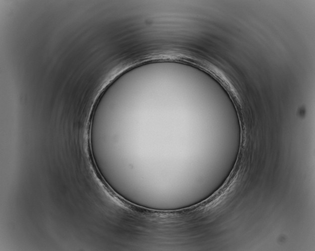 X0000100750802200806190821