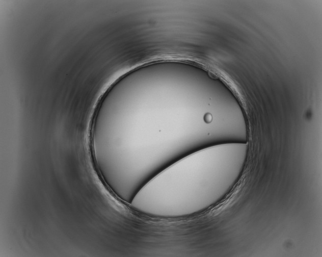 X0000100750803200806190821
