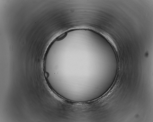 X0000100750805200806190821