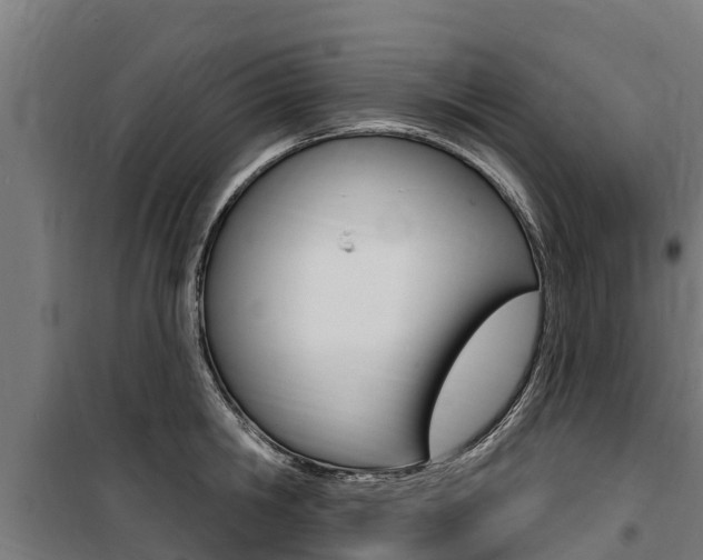 X0000100750806200806190821