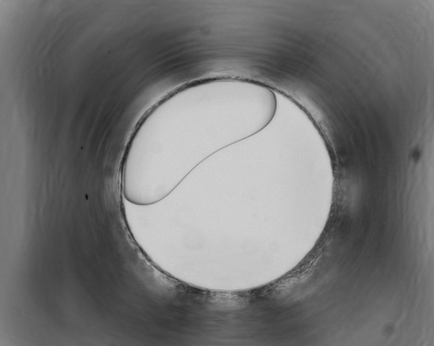 X0000100750807200806190821