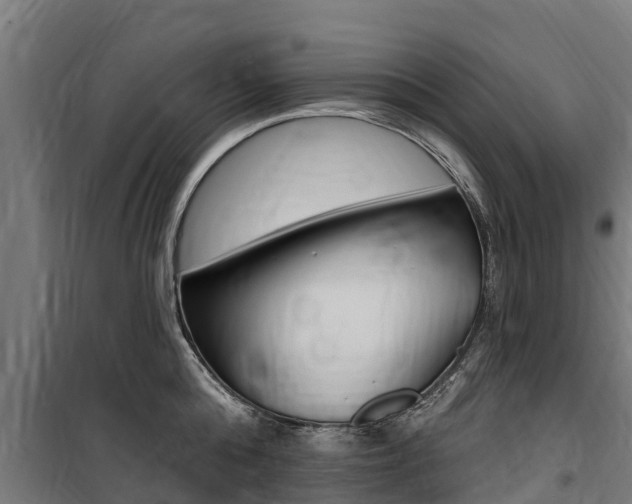 X0000100750808200806190821