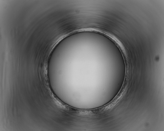 X0000100750809200806190821