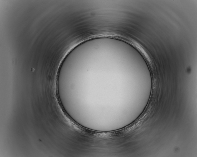 X0000100750810200806190821