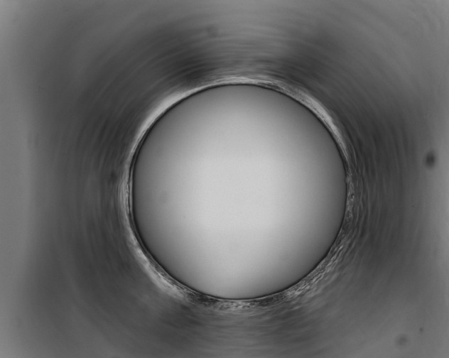 X0000100750811200806190821