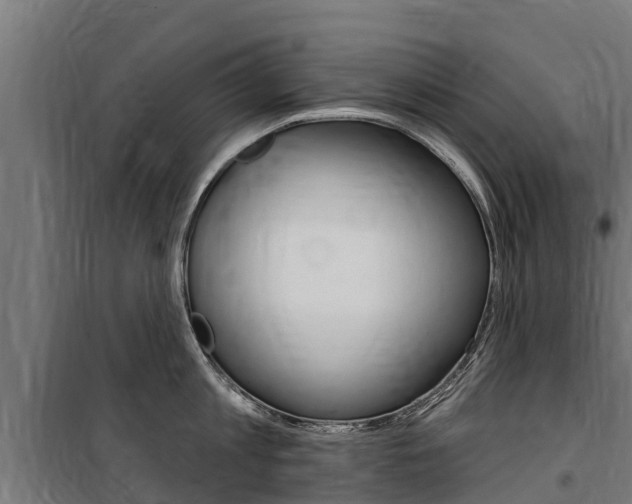 X0000100750813200806190821
