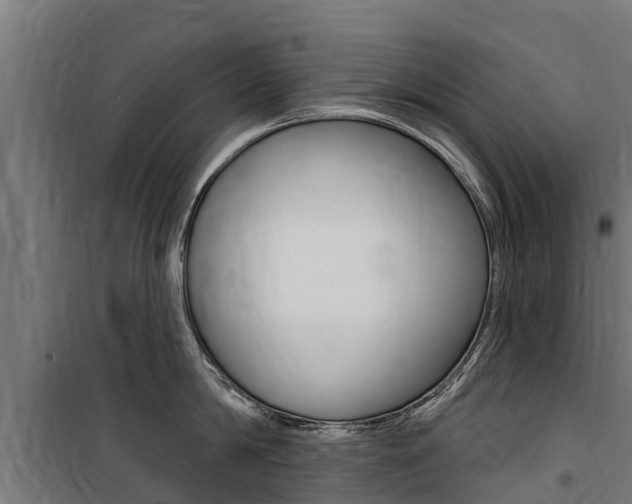 X0000100750814200806190821
