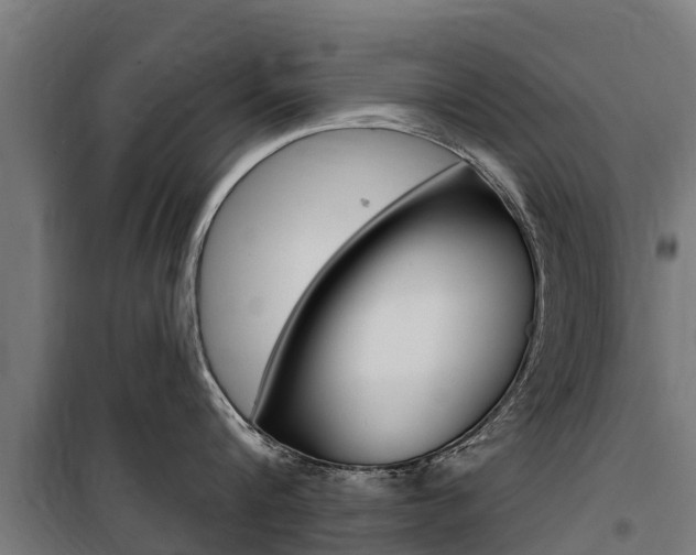 X0000100750816200806190821