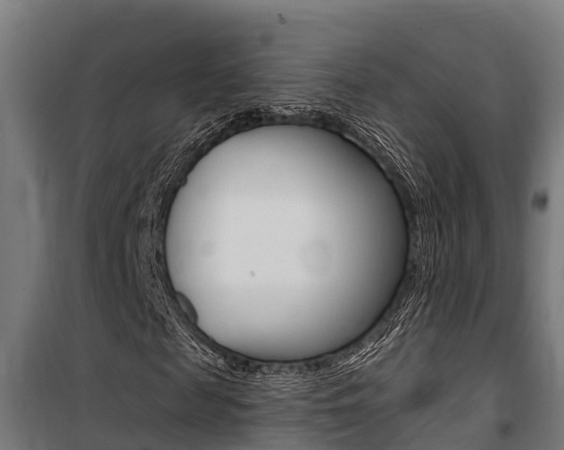 X0000100750817200806190820