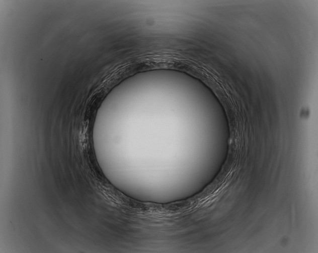 X0000100750818200806190820