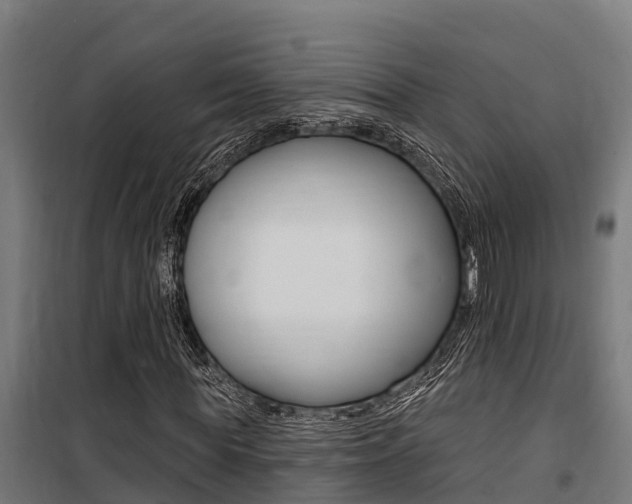 X0000100750819200806190820