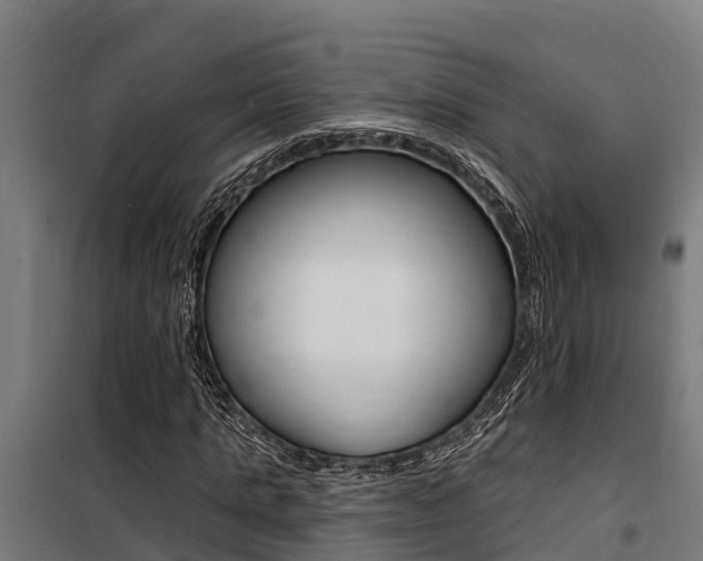 X0000100750821200806190820