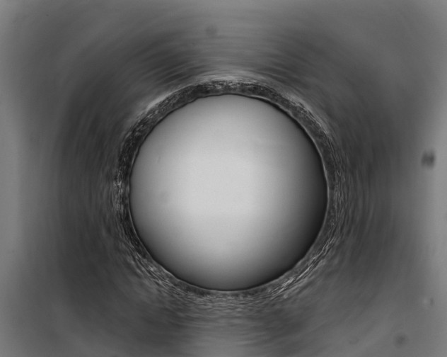 X0000100750822200806190820