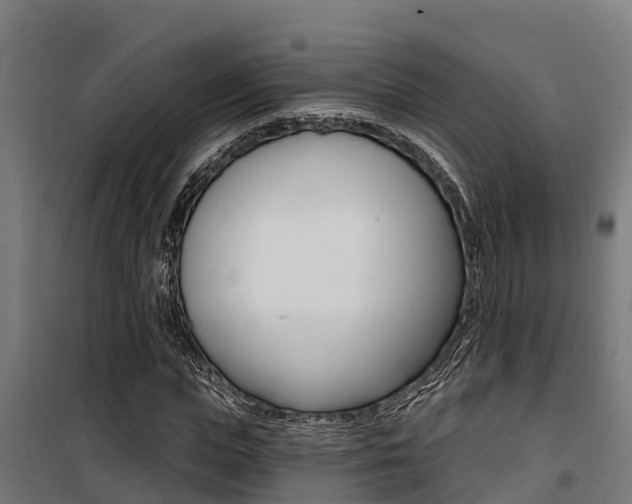 X0000100750823200806190820