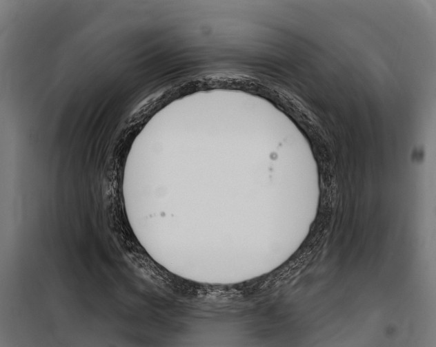 X0000100750824200806190820