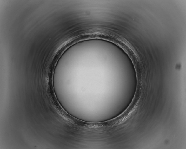 X0000100750826200806190820
