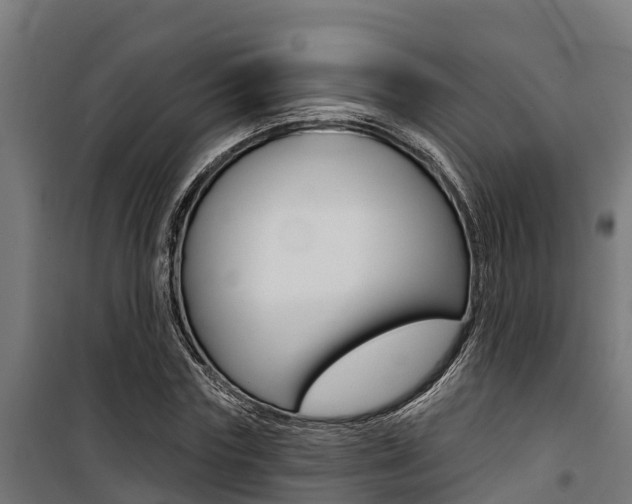 X0000100750827200806190820