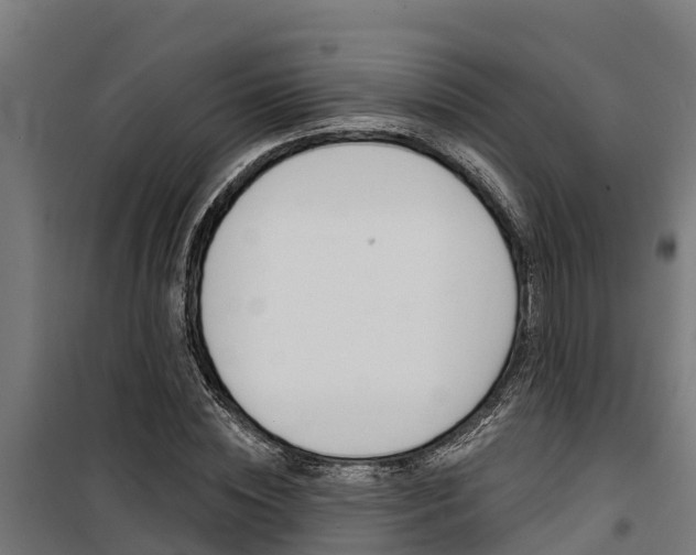 X0000100750828200806190820