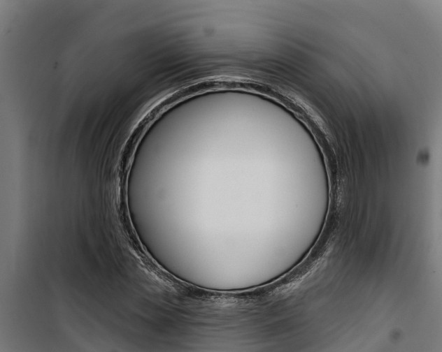 X0000100750829200806190821