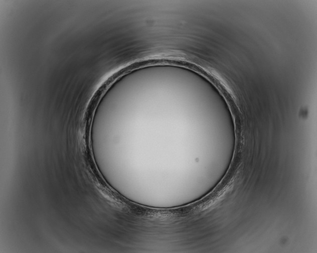 X0000100750830200806190821