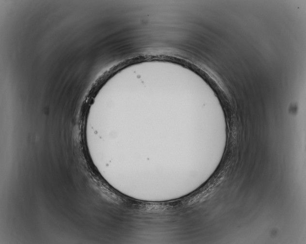 X0000100750832200806190821