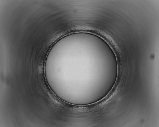 X0000100750833200806190821