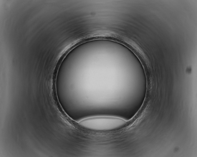 X0000100750834200806190821