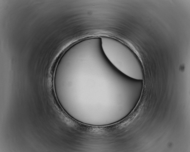 X0000100750835200806190821