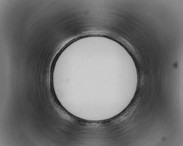X0000100750836200806190821