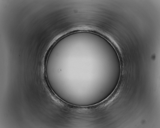 X0000100750837200806190821