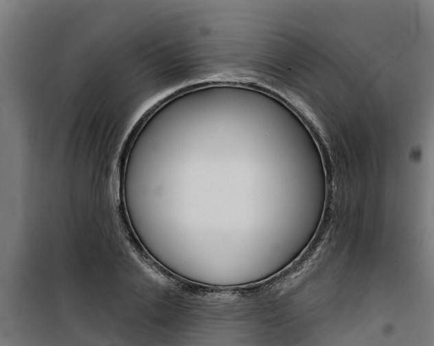 X0000100750838200806190821