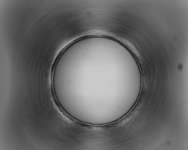 X0000100750839200806190821