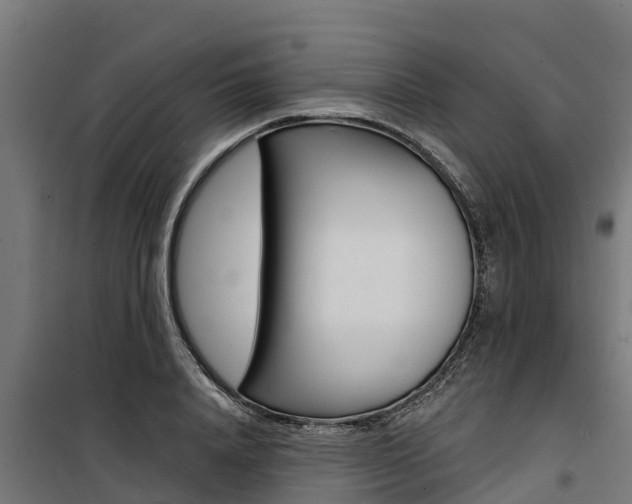 X0000100750840200806190821