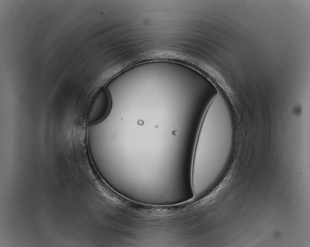 X0000100750841200806190821