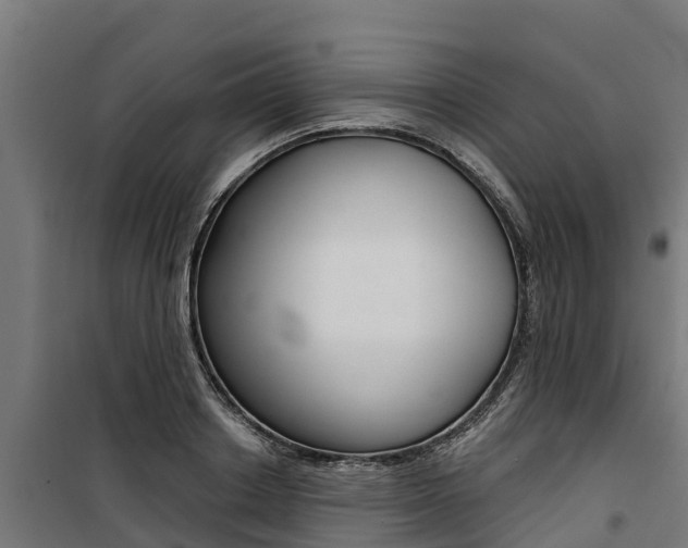 X0000100750842200806190821