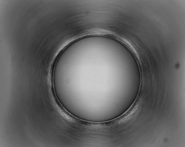 X0000100750843200806190821