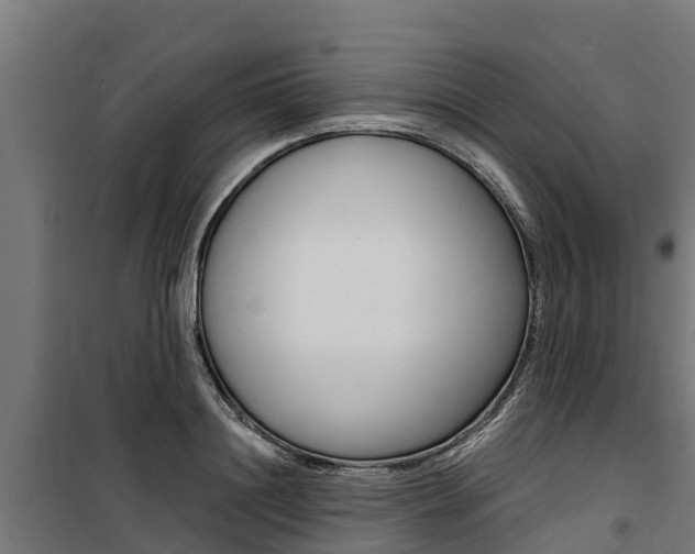 X0000100750844200806190821