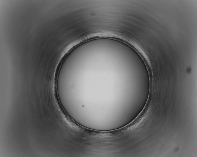 X0000100750845200806190821