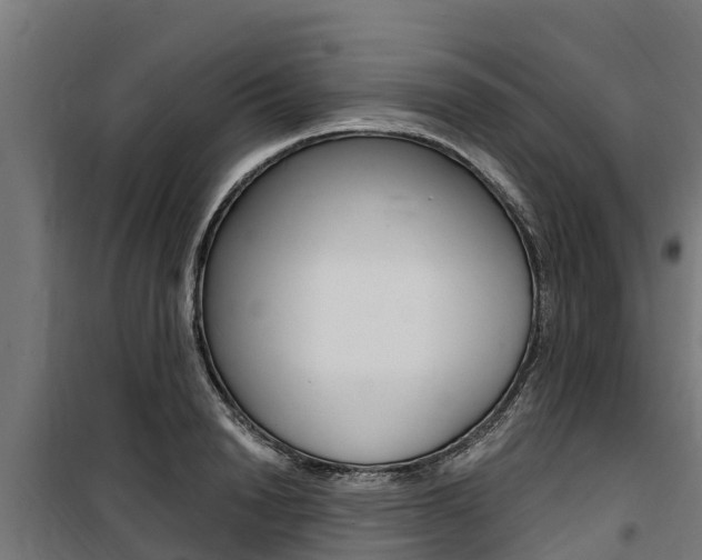 X0000100750846200806190821