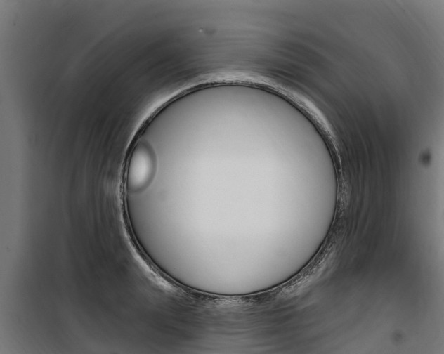 X0000100750847200806190821