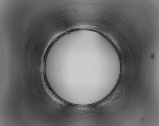 X0000100750848200806190821