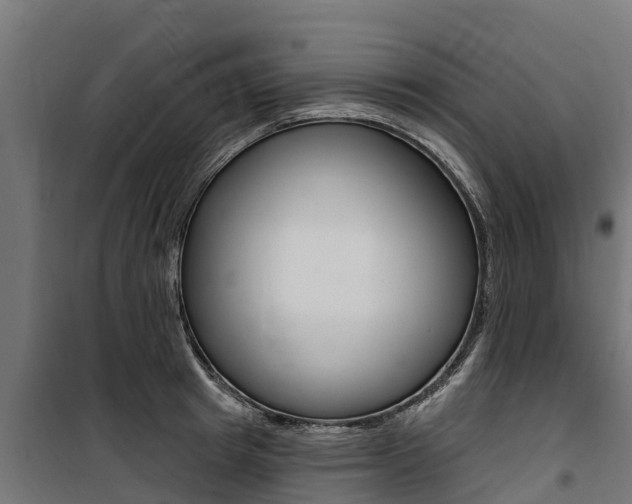 X0000100750849200806190821