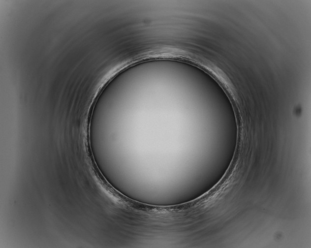 X0000100750850200806190821