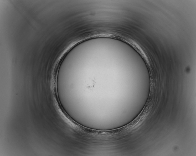 X0000100750851200806190821