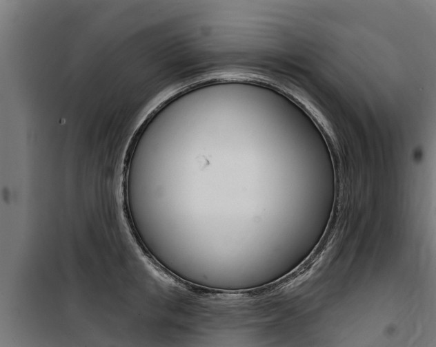 X0000100750853200806190821