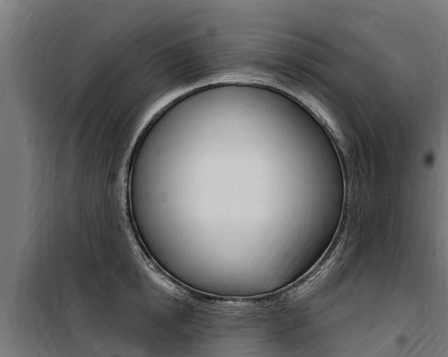 X0000100750854200806190821
