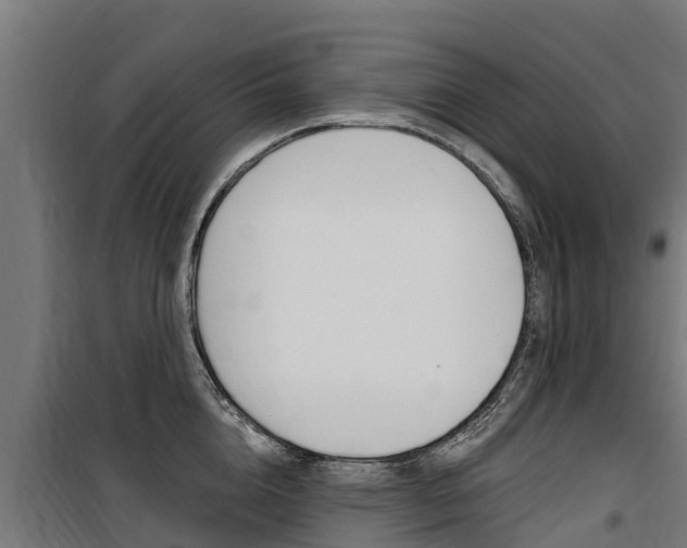 X0000100750856200806190821