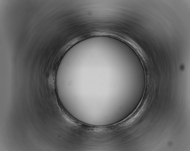 X0000100750857200806190821